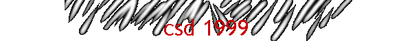 csd 1999