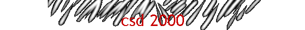 csd 2000