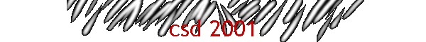 csd 2001