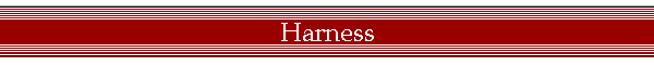 Harness