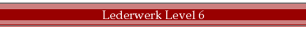 Lederwerk Level 6