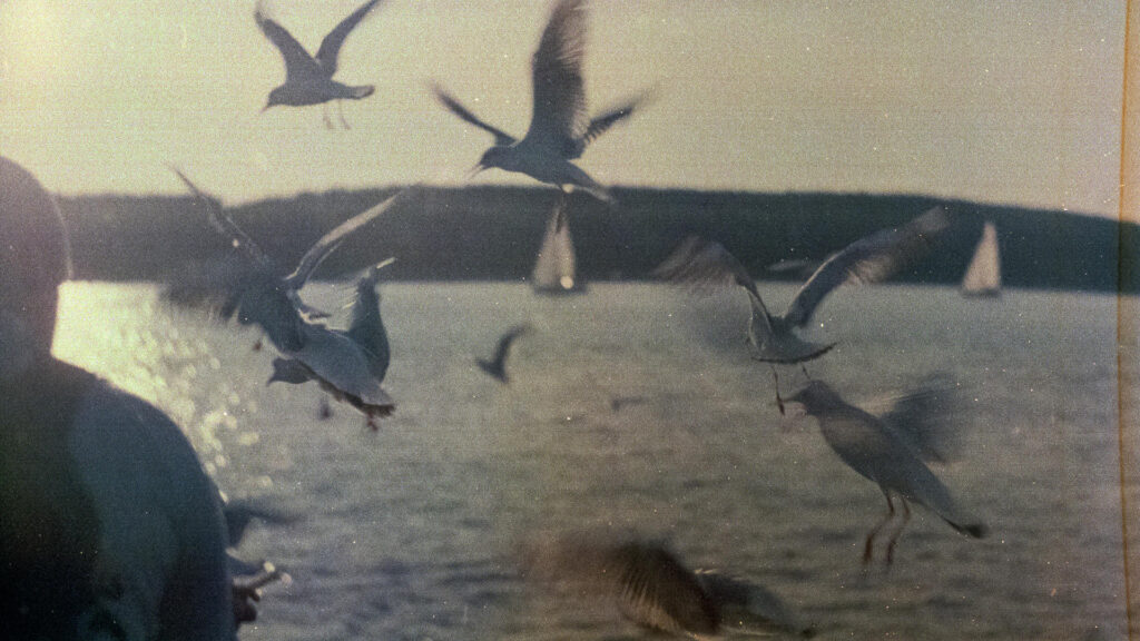Baltic Sea