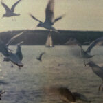 Baltic Sea